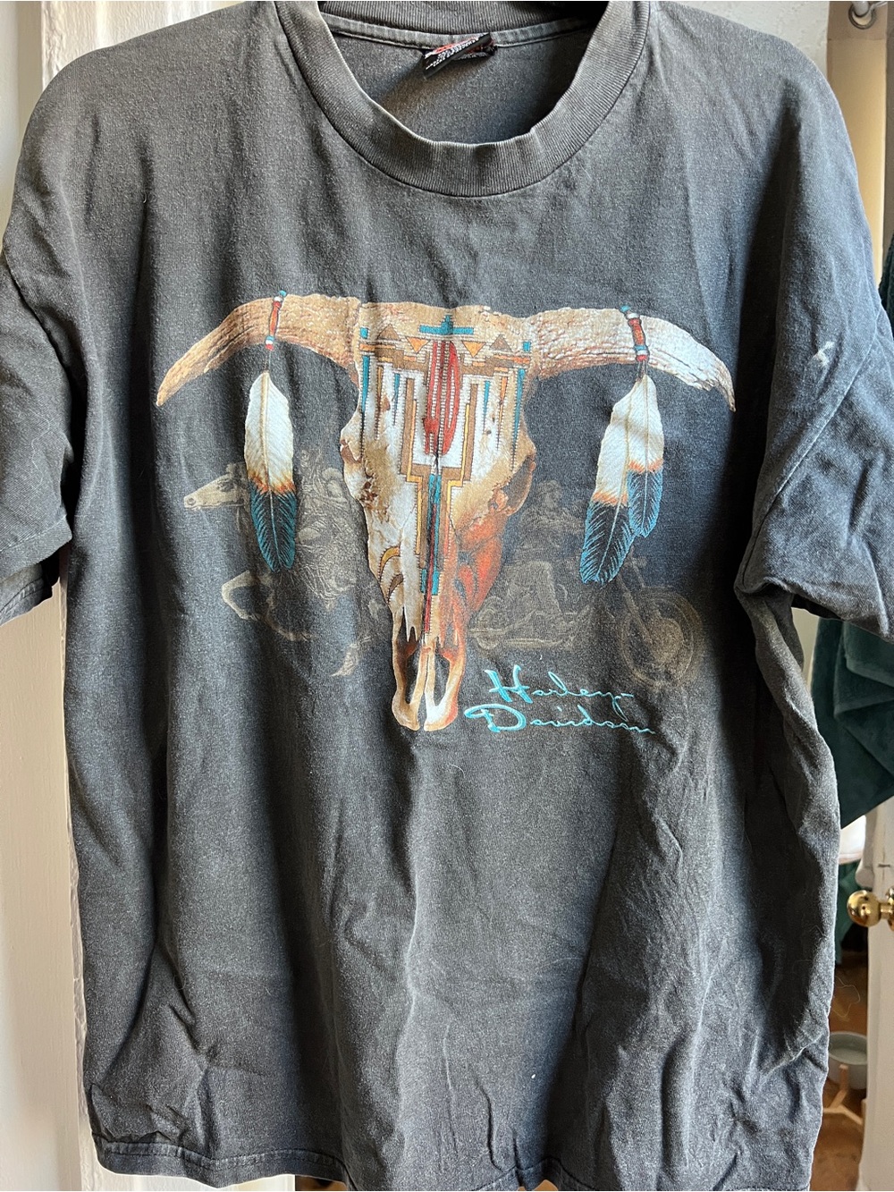 Black Harley Davidson with Bull Skull and Feather Design